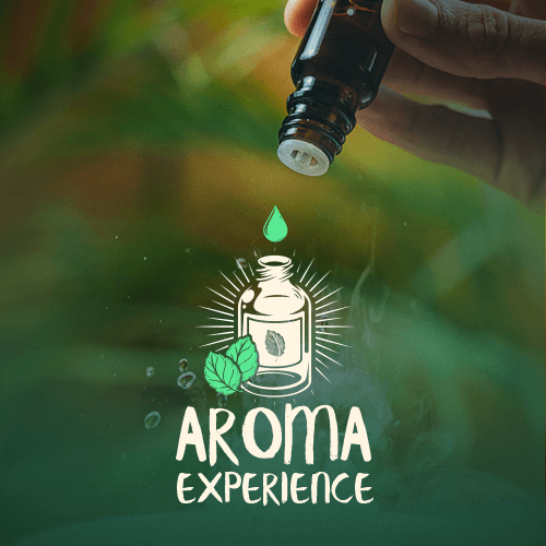 Curso Aroma Experience